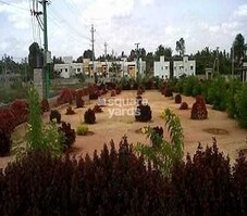 Celebrity Primecity Featured Image