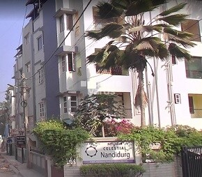 Celestial Nandidurg Cover Image