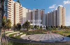 Century Breeze Featured Image