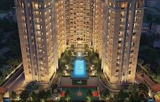 Century Novus Featured Image