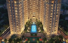 Century Novus Featured Image