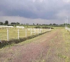 Century Sankya Featured Image