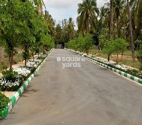 Chartered Veda, Nelamangala, Bangalore