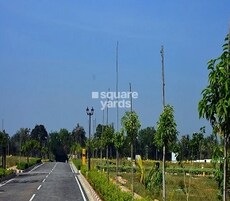 Chartered Woodpecker Featured Image