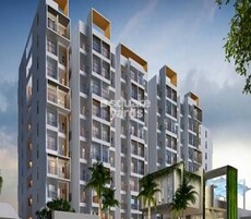 Citrus Aire Featured Image