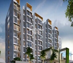 Citrus Aire