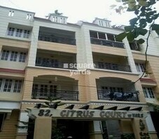 Citrus Court Featured Image