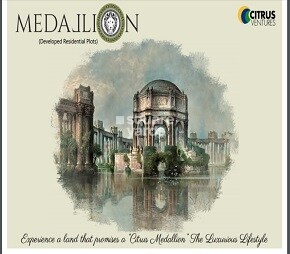 Citrus Medallion
