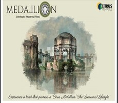 Citrus Medallion Featured Image