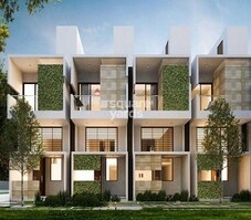 Citrus Zen Garden Featured Image