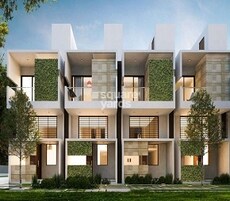 Citrus Zen Garden Featured Image