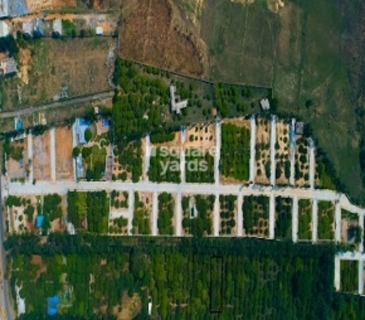 CK Brad Mango Acres Cover Image