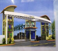 Classic Elmwood Phase IV Featured Image