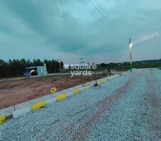 Classic Palm Meadows Featured Image