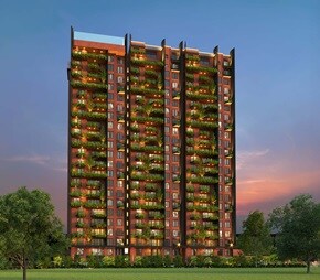 Coevolve Misty Shores