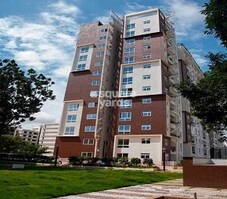 Coevolve Northern Star Featured Image