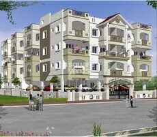 Comfort Dynasty Featured Image