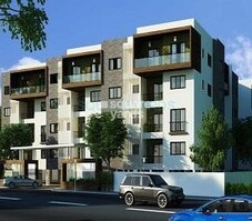 Concorde Amber Featured Image