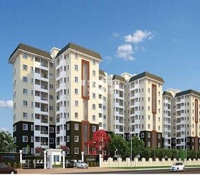 Concorde Spring Meadows Featured Image