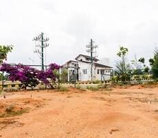 Confident Adonis Featured Image