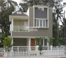 Confident Amber Featured Image