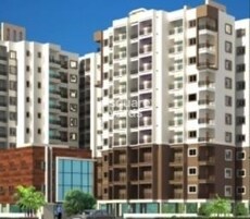 Confident Aquila Featured Image