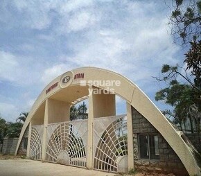 Confident Atria Phase VII Featured Image