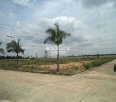 Confident Auriga NRI VI Featured Image