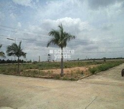 Confident Auriga NRI VI