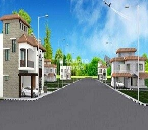 Confident Auriga Phase XV