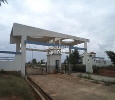 Confident Cygnus II Featured Image