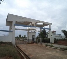 Confident Cygnus Featured Image