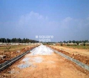 Confident Gardenia Featured Image