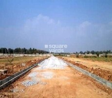 Confident Gardenia Featured Image