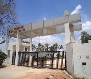 Confident Ivory Coast Featured Image