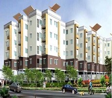 Confident Oberon III Featured Image