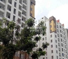 Confident Phoenix Featured Image