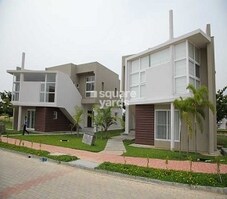 Confident Platinum Featured Image