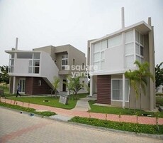 Confident Platinum Featured Image