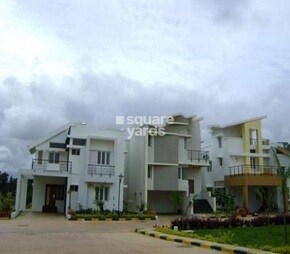 Confident Rigel Plot Featured Image