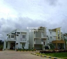 Confident Rigel Plot Featured Image