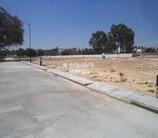 Confident Whitefield Oberon Featured Image