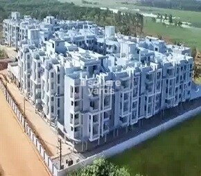 Corporate Leisure Euphoria