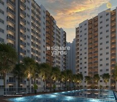 Corporate Sunrise Featured Image