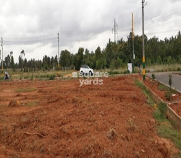 Cqal Nandi Layout Cover Image