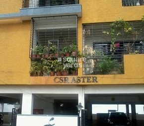 CSR Aster Cover Image