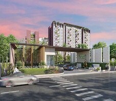 Cynosure Sunny Groves Featured Image