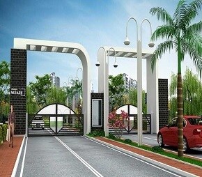 Daadys Square