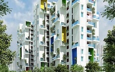 Desai Empire Featured Image