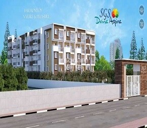 Devi SGS Divine Aspire